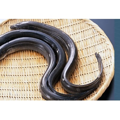 【純国産ウナギ】つしま鰻蒲焼3尾入(450g)