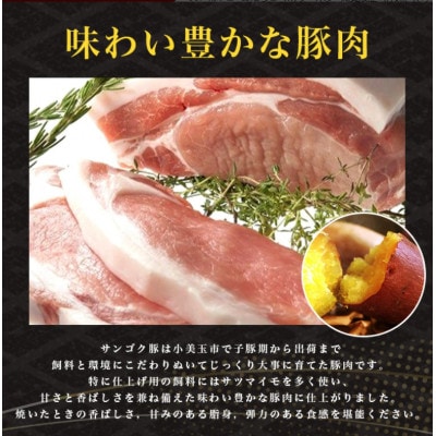 サンゴク豚(ロース切り身セット) 合計2.1kg 2-I