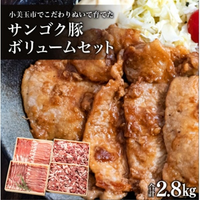 サンゴク豚(ボリュームセット) 合計2.8kg(4段梱包) 2-C
