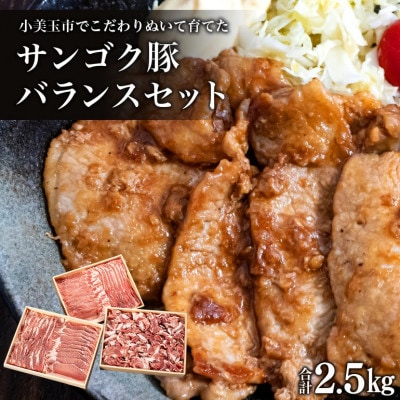 サンゴク豚(バランスセット) 合計2.5kg 2-B
