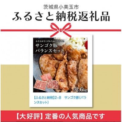 サンゴク豚(バランスセット) 合計2.5kg 2-B