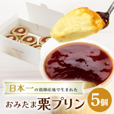 おみたまプリン　笠間の栗　5個入り　白箱　8-N