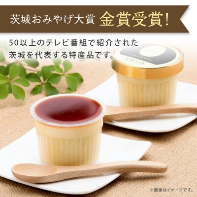 おみたまプリン　笠間の栗　5個入り　白箱　8-N