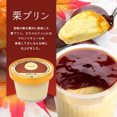 おみたまプリン　笠間の栗　5個入り　白箱　8-N