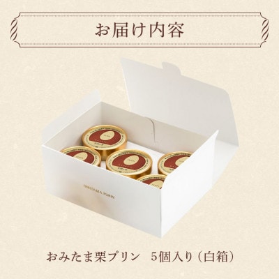 おみたまプリン　笠間の栗　5個入り　白箱　8-N