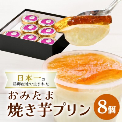 おみたまプリン　茨城の焼き芋　8個入り　贈答用黒箱　8-R