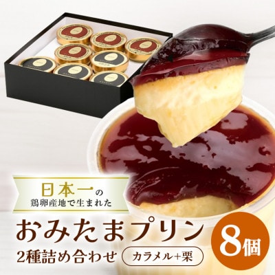 おみたまプリン2種詰合せ　8個入り　カラメル&栗　贈答用黒箱　8-T