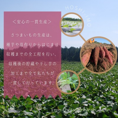 鶴田商店の干しいも 紅はるか 平干し 1.5kg(250g×6袋)