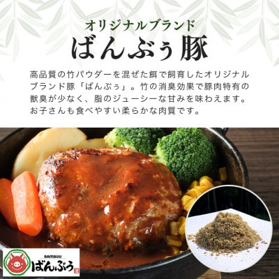 ブランド豚「ばんぶぅ」小分け ミンチ 4kg(500g×8パック)