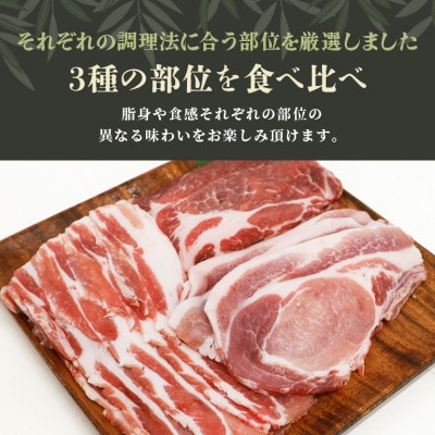 ブランド豚「ばんぶぅ」化粧箱入りギフト 2種(しゃぶしゃぶ用、焼肉用)計1.5kg