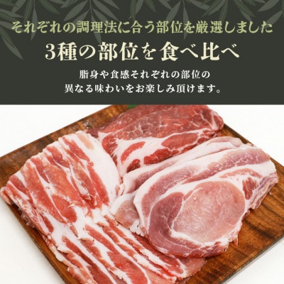 ブランド豚「ばんぶぅ」化粧箱入りギフト 2種(鍋用、しゃぶしゃぶ用)計1.5kg