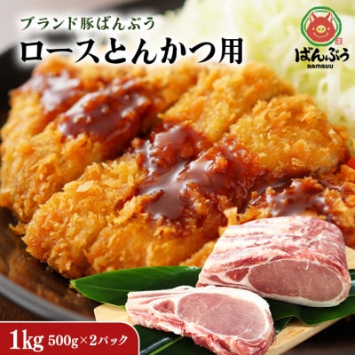 ブランド豚「ばんぶぅ」小分け ロース とんかつ用 1kg(500g×2パック)