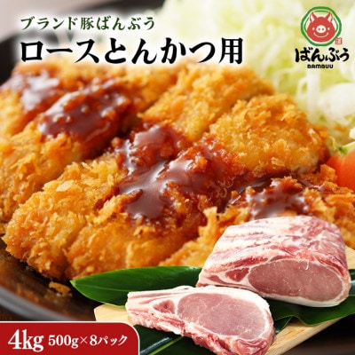 ブランド豚「ばんぶぅ」小分け ロース とんかつ用 4kg(500g×8パック)