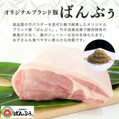 ブランド豚「ばんぶぅ」小分け ロース とんかつ用 4kg(500g×8パック)