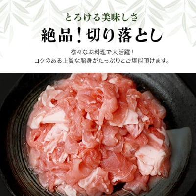 ブランド豚「ばんぶぅ」小分け 切り落とし 1kg(500g×2パック)