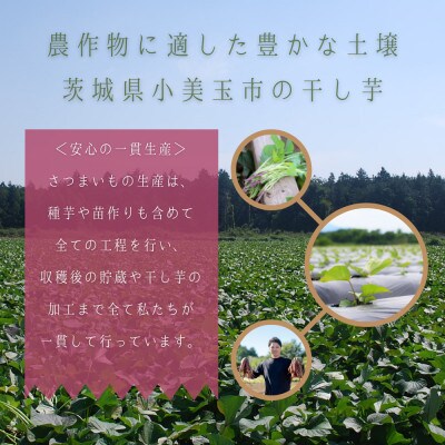ほしいも鶴田 干しいも 紅はるか 平干し 1.5kg(250g×6袋)