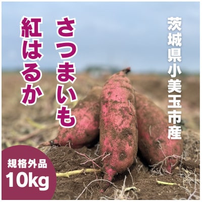 ��錧�Y���܂��� �g�͂邩 10kg(�󂠂�E���I��)