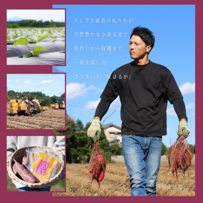 茨城県産さつまいも 紅はるか 10kg(訳あり・無選別)