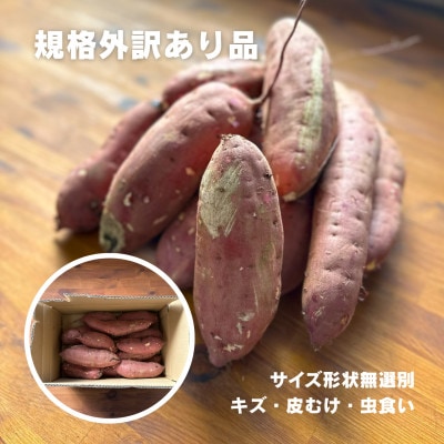 茨城県産さつまいも 紅はるか 10kg(訳あり・無選別)