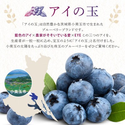ブルーベリーギフトセット　アイの玉&アイの玉米(精米)