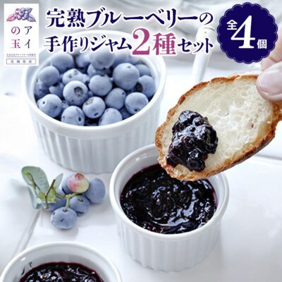 【アイの玉】完熟ブルーベリーの手作ジャム2種セット(全4個)73-D