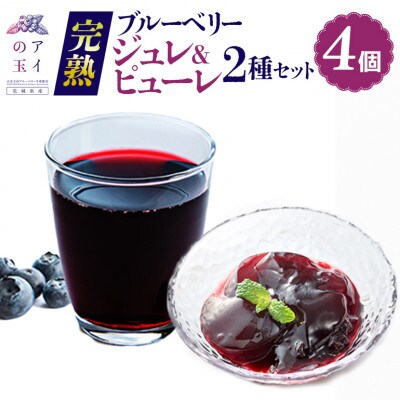 【アイの玉】完熟ブルーベリージュレ&ピューレ2種セット(4個)73-G