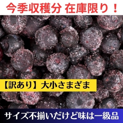 【アイの玉】　冷凍ブルーベリー　1kg