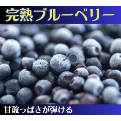 【アイの玉】冷凍ブルーベリー　2kg