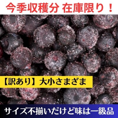 【アイの玉】冷凍ブルーベリー　2kg