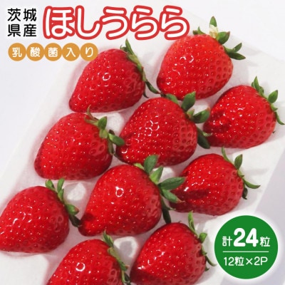 ほしうらら　『乳酸菌入りいちごパック』　12粒×2P　19-J