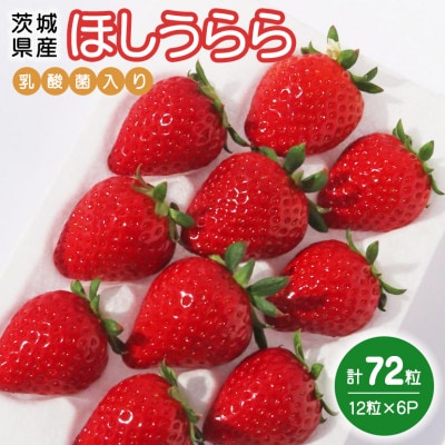 ほしうらら　『乳酸菌入りいちごパック』　12粒×6P　19-V
