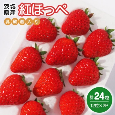 紅ほっぺ　『乳酸菌入りいちごパック』　12粒×2P　19-K