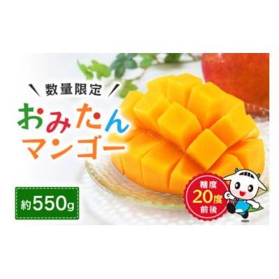【先行予約】おみたんマンゴー約550g【数量限定・季節限定】19-I