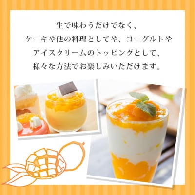 【先行予約】おみたんマンゴー約550g【数量限定・季節限定】19-I