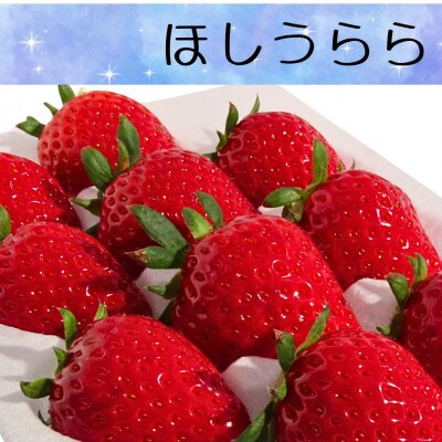 ★食べ比べ2種★　紅ほっぺ・ほしうらら　『乳酸菌入りいちごパック』　12粒×4　19-R