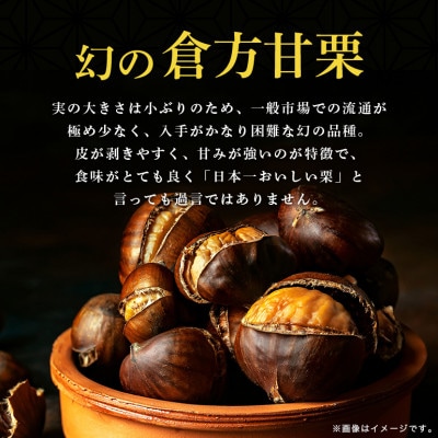 倉方甘栗の焼き栗　450g　55-A
