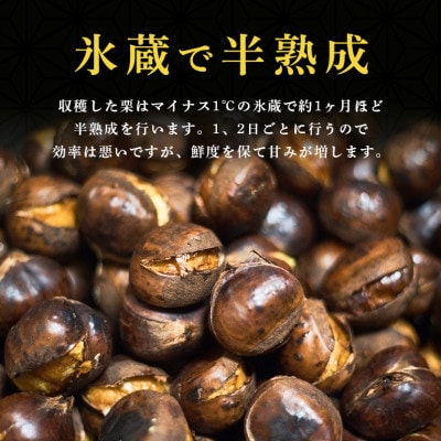 倉方甘栗の焼き栗　450g　55-A
