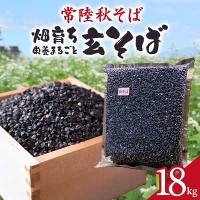 茨城県産　常陸秋そば　玄そば　18kg　ライジングファーム　84-B