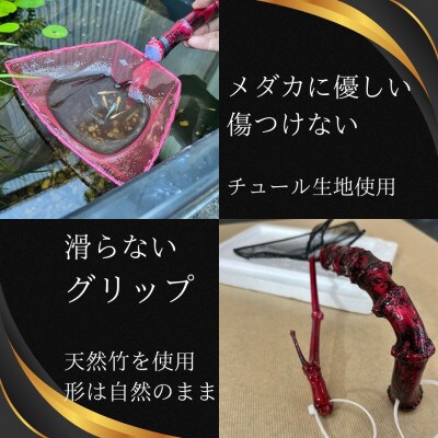 メダカ1匹選別用　タモ網(角型・長め)3本セット