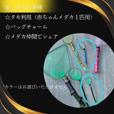 タモ網型キーホルダー　10個セット