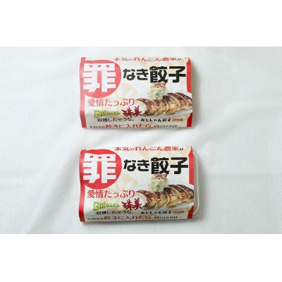 【最高級Bigれんこん珠美使用】冷凍罪なき餃子(20g×15個入)2パックセット