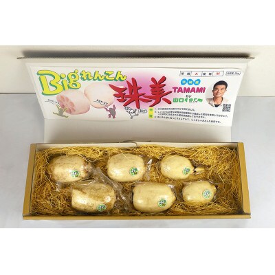 【最高級Bigれんこん珠美】 最良品(真空品)2kg 贈答用 化粧箱入り