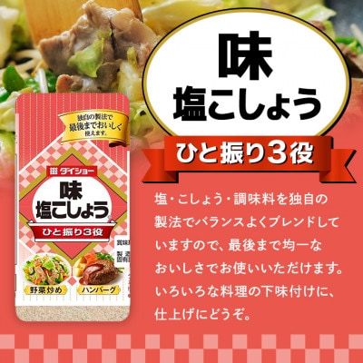 ダイショー　塩こしょう・焼肉のたれセット 47-CN
