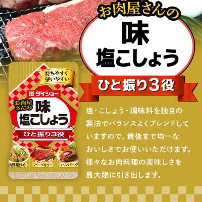 ダイショー　塩こしょう・焼肉のたれセット 47-CN