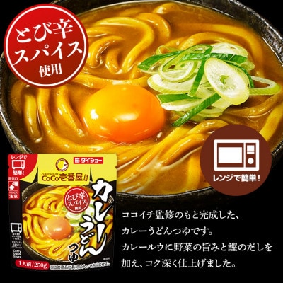 ダイショー　CoCo壱番屋　カレーうどんつゆ　10個入り 47-BX