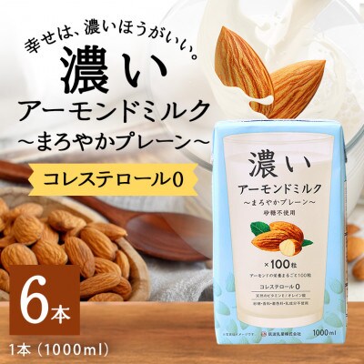 濃いアーモンドミルク　まろやかプレーン1000ml×6本入り 筑波乳業  47-BB