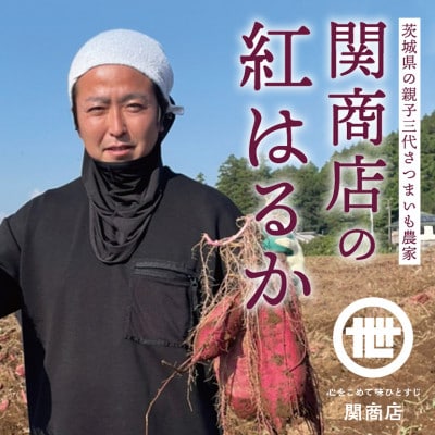 関商店 干し芋平干し 紅はるか 880g(220g×4袋)62-E