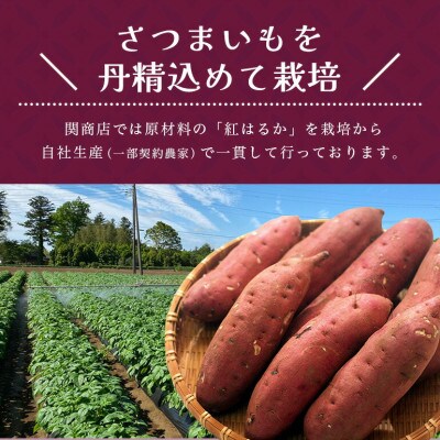 紅はるか　食べ比べセット(焼き芋1.5kg・干し芋440g)62-A
