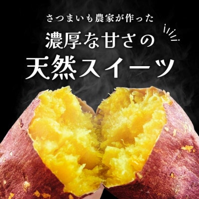 紅はるか　食べ比べセット(焼き芋3kg・干し芋660g)62-B