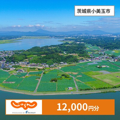 【じゃらんふるさと納税クーポン】 茨城県小美玉市でつかえる12,000円 クーポン
